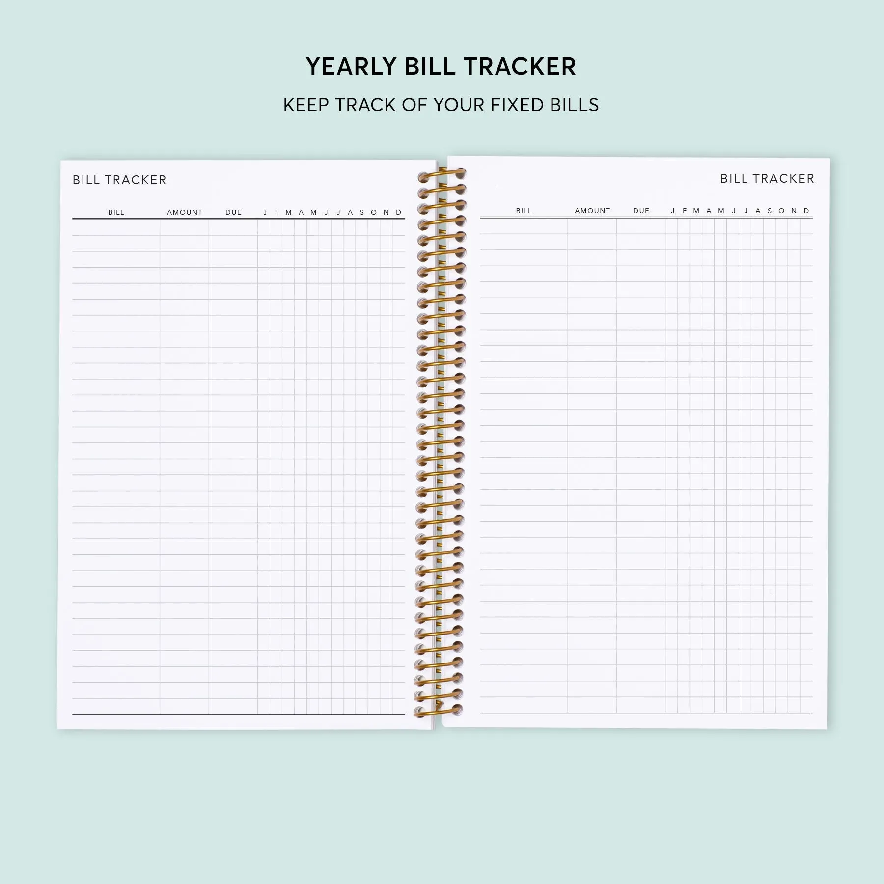 6x9 Budget Planner - Abstract Florals Multicolor