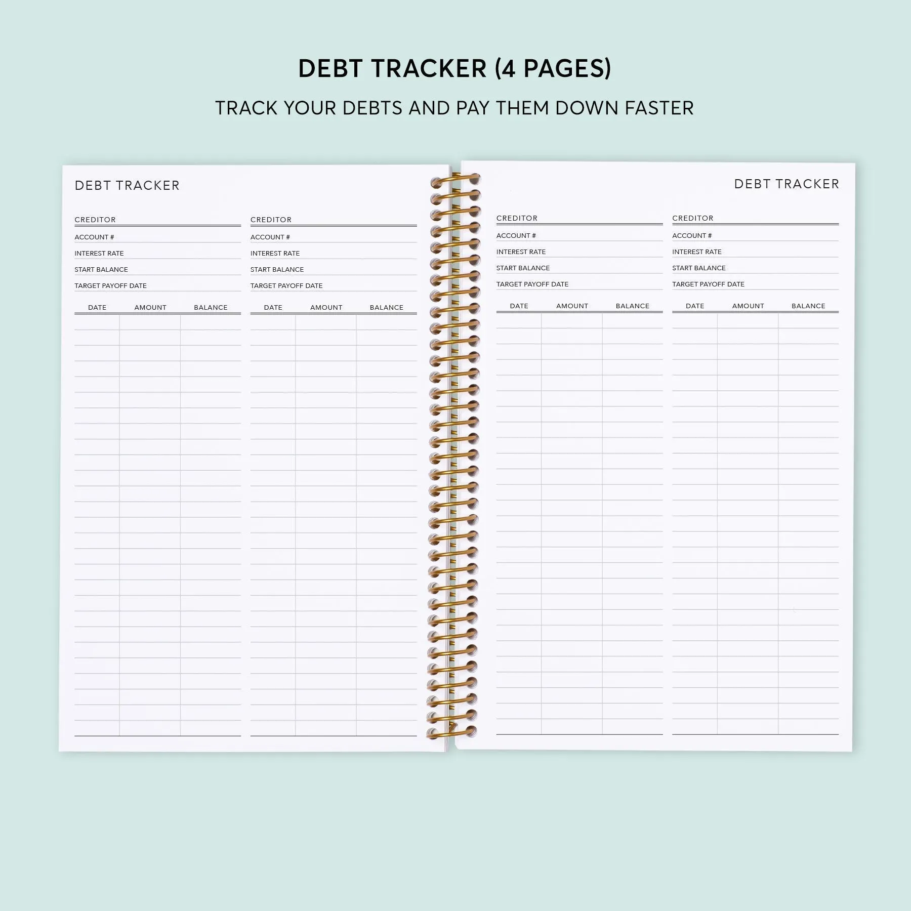 6x9 Budget Planner - Abstract Florals Pink Multicolor