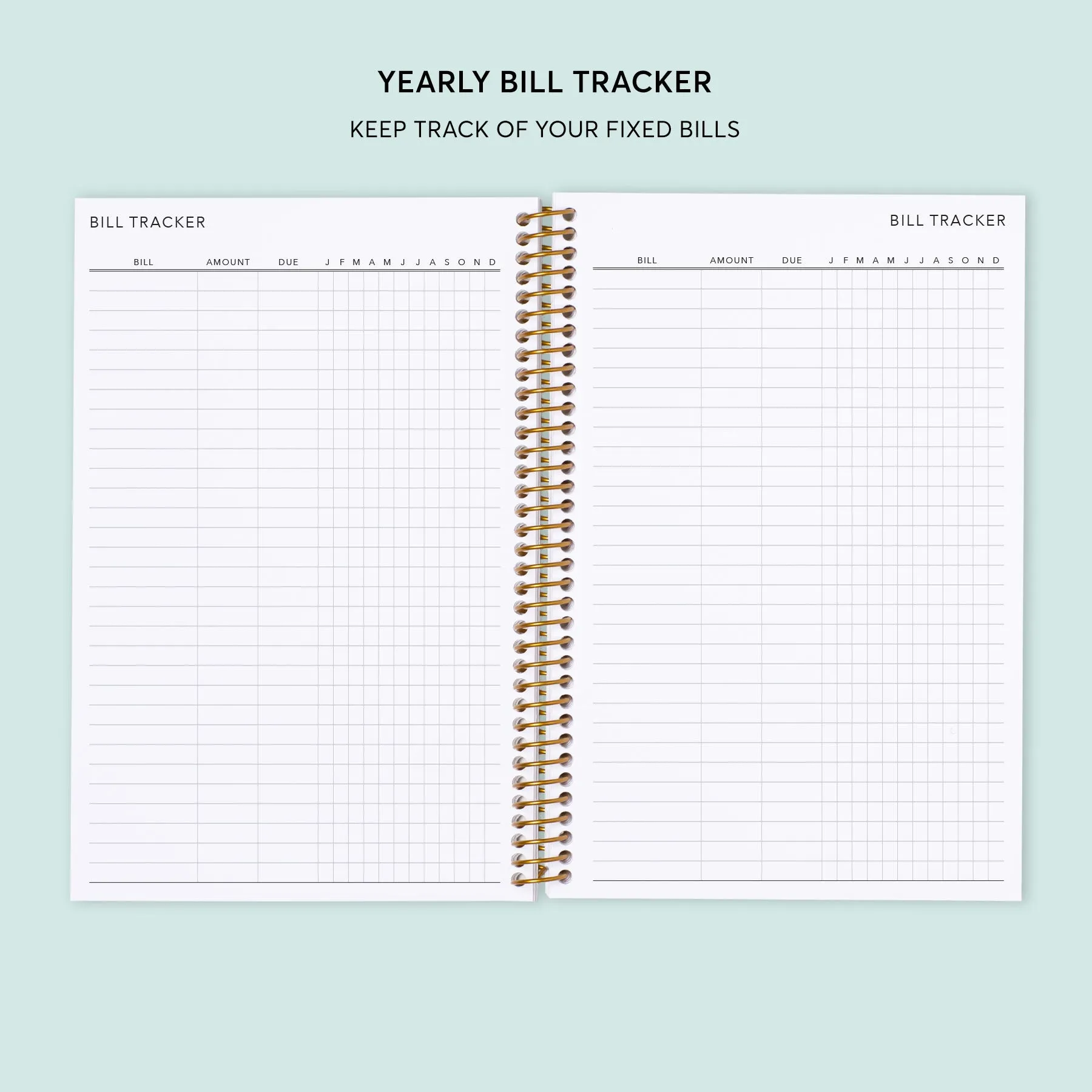 6x9 Budget Planner - Black Marble