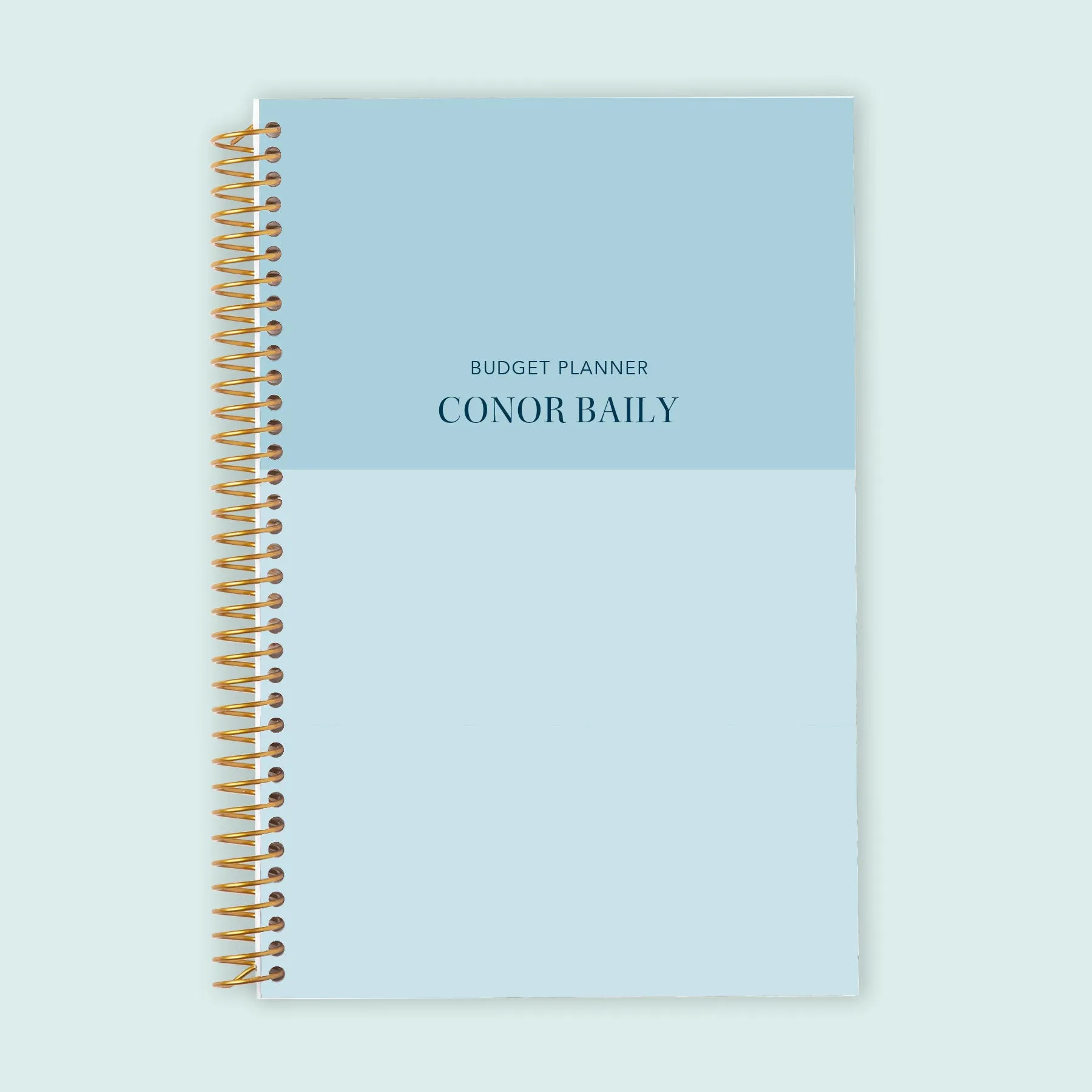 6x9 Budget Planner - Blue Color Block