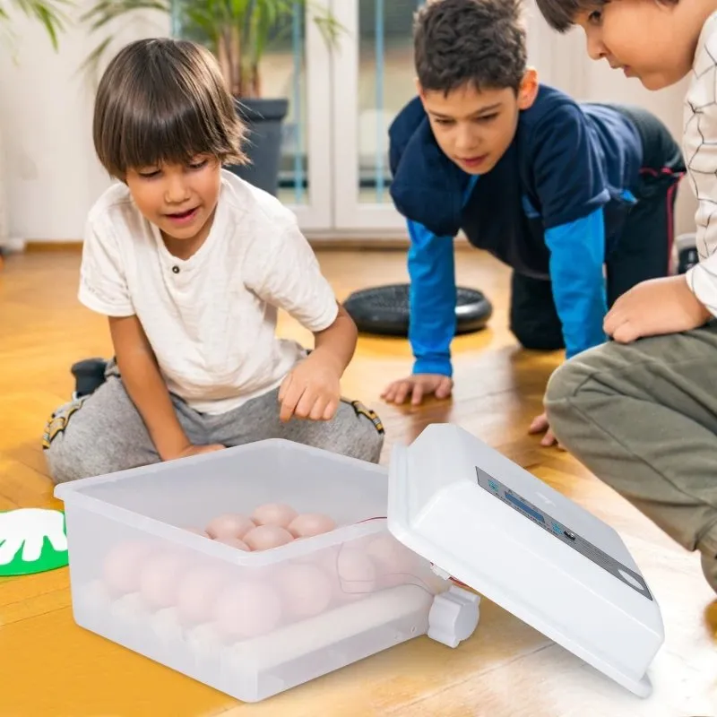Automatic Egg Incubator - Poultry Hatcher for Chickens Ducks Birds (16Eggs）