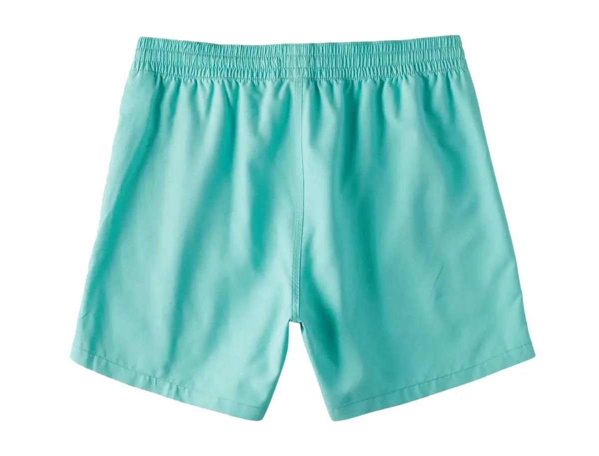 Billabong Boys' All Day Layback Elastic 16" Shorts