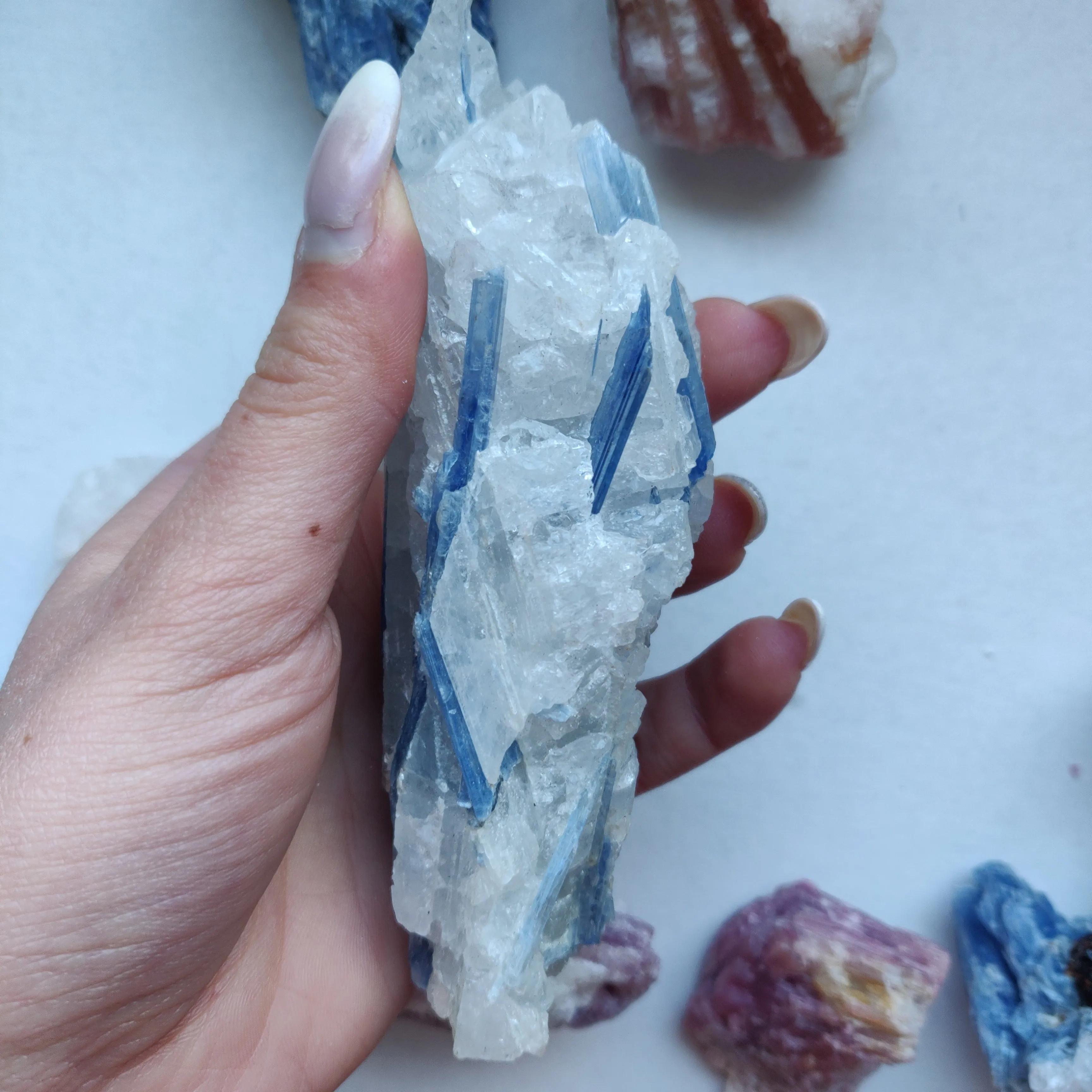 Blue Kyanite Specimen in Quartz (#6)