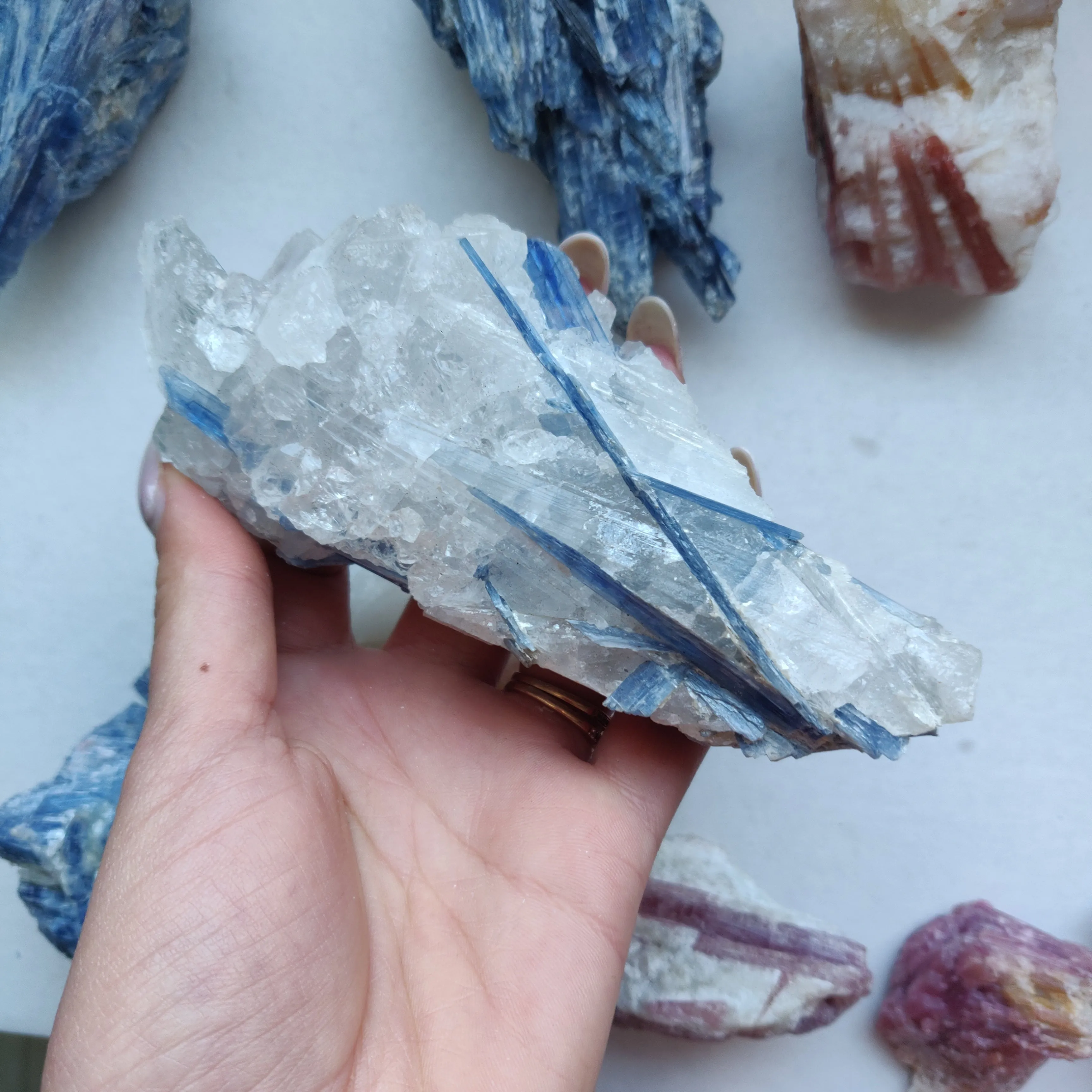 Blue Kyanite Specimen in Quartz (#6)