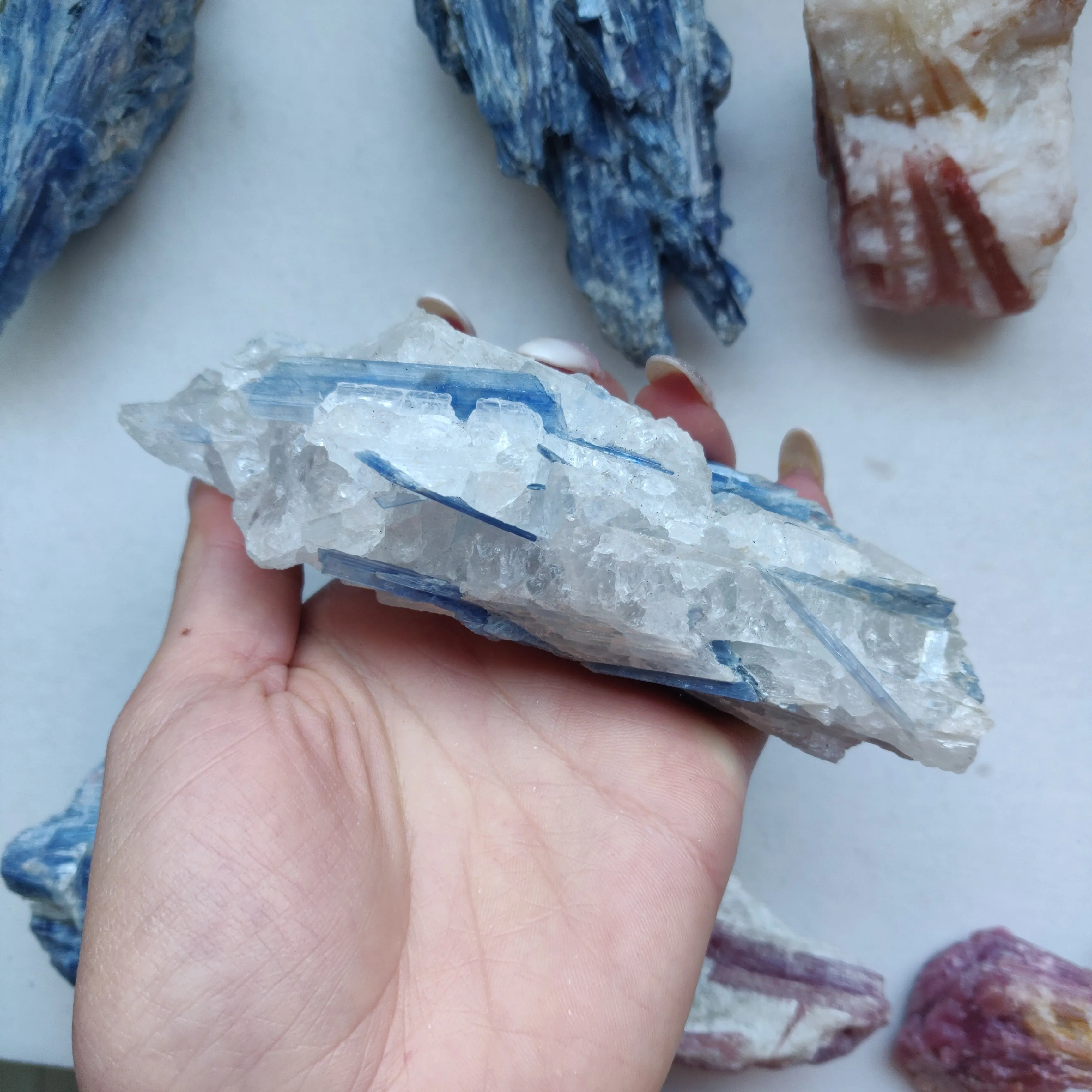 Blue Kyanite Specimen in Quartz (#6)