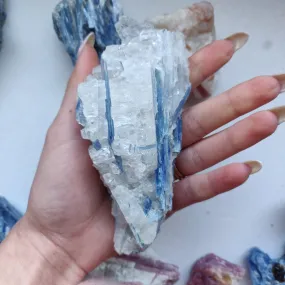 Blue Kyanite Specimen in Quartz (#6)