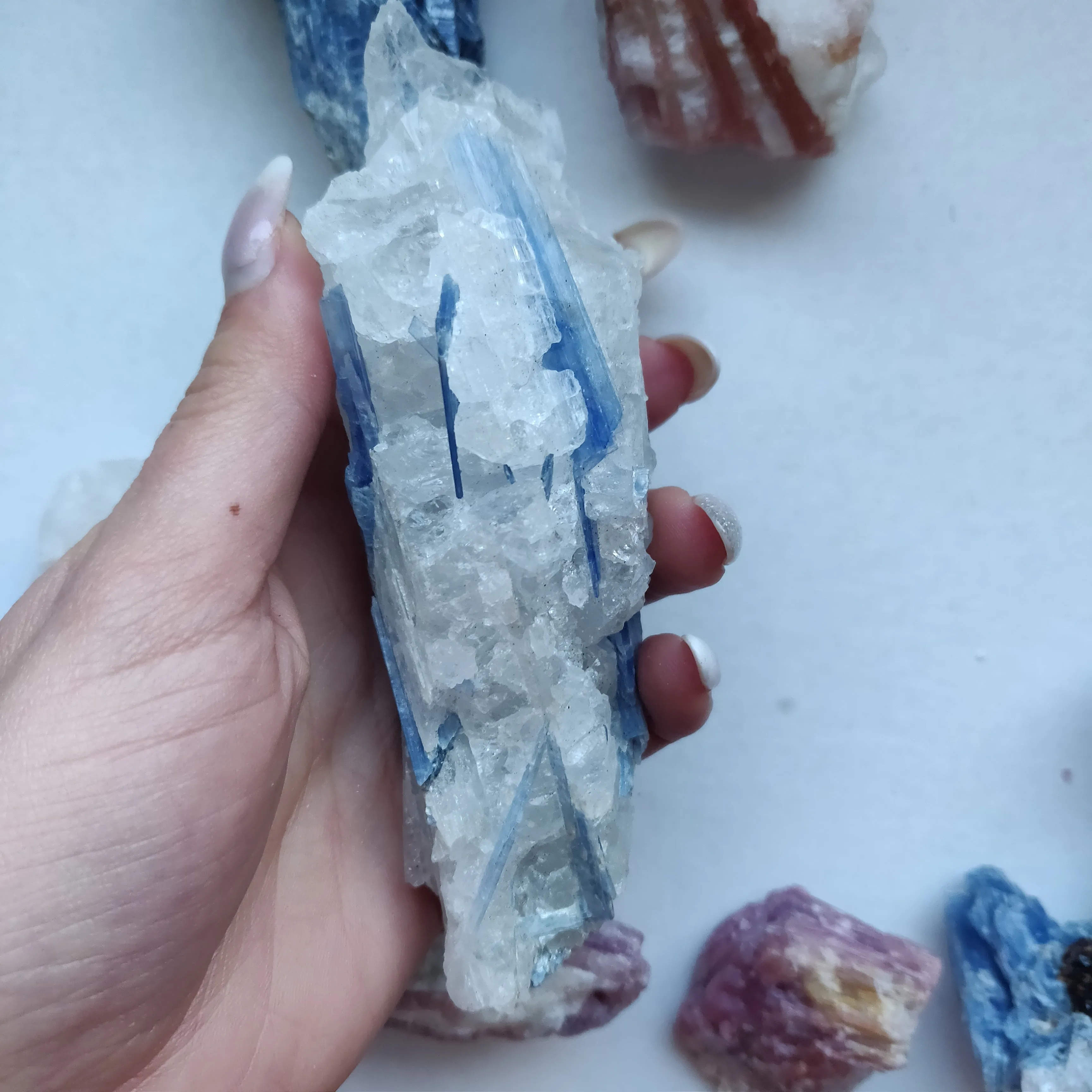 Blue Kyanite Specimen in Quartz (#6)