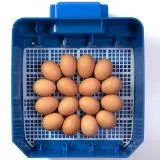 Borotto Lumia 16 Egg Incubator with Automatic Turner and Humidity Pump