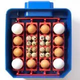 Borotto Lumia 16 Egg Incubator with Automatic Turner and Humidity Pump