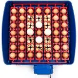 Borotto Real 49 Plus Egg Incubator with Automatic Turner and Humidity Pump