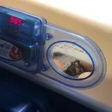 Borotto Real 49 Plus Egg Incubator with Automatic Turner and Humidity Pump