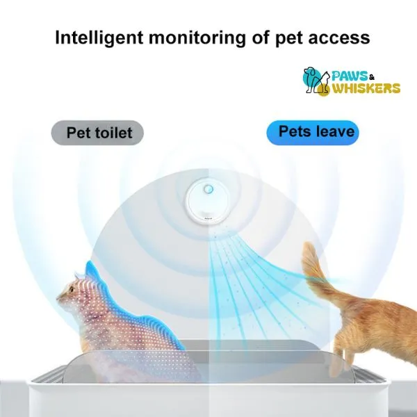 Cat odor Air Purifier