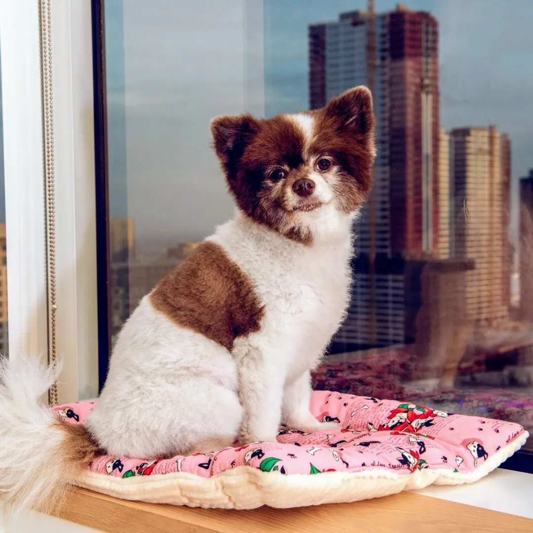 Comfy Mat Pet Bed: Breathable Cotton, Reversible & Cooling Side for Hot Days, Velvety Side for Cold Days, Angel Hair Fiber, Handmade Stitching, Perfect for Crates & Travel, for Small Animals