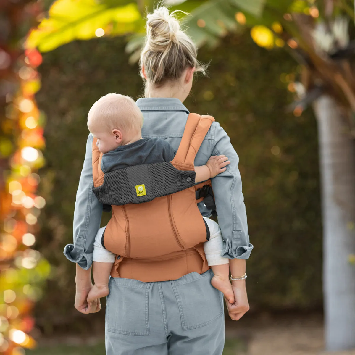 Complete 6-in-1 All Seasons - Terra
