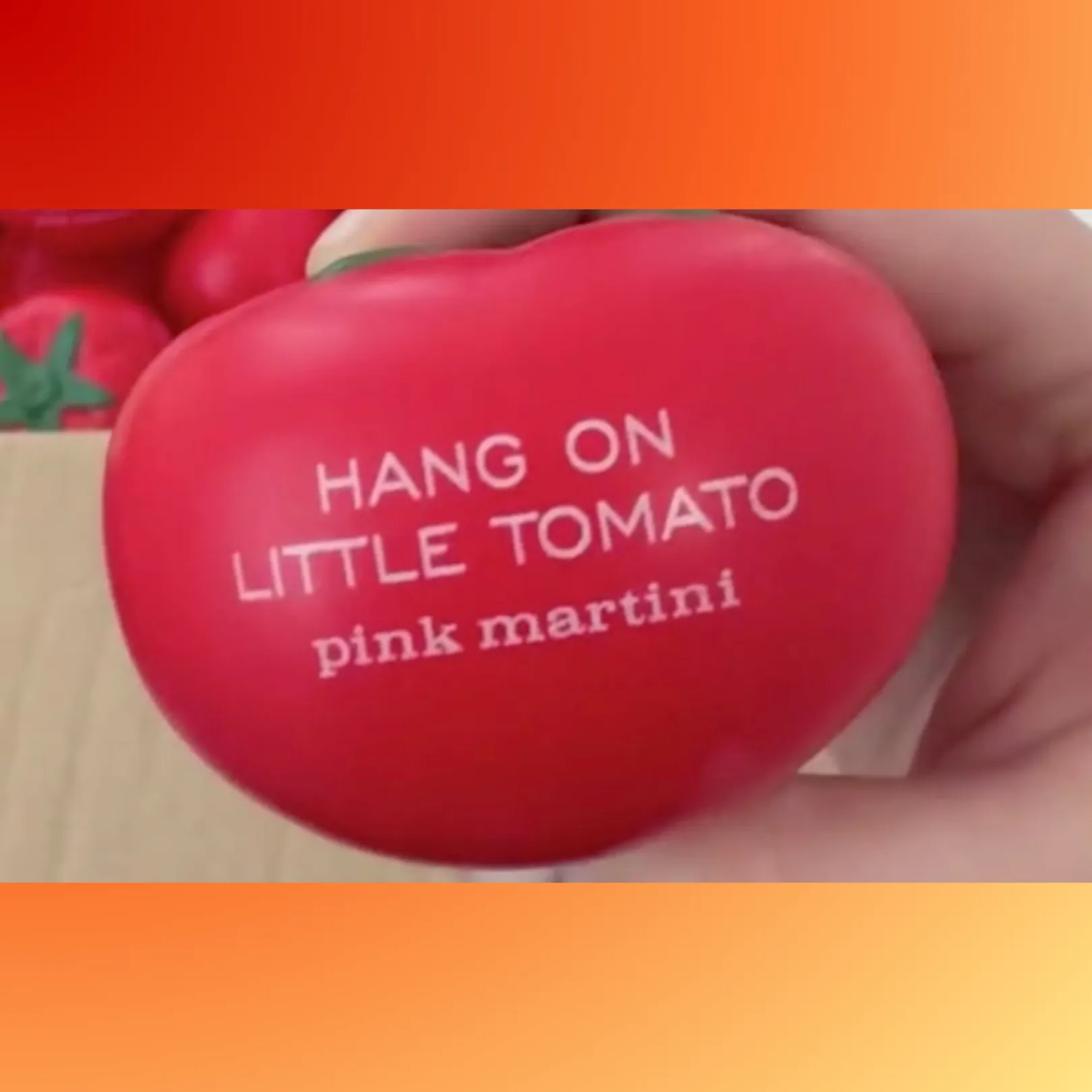 Hang On Little Tomato Stress Ball