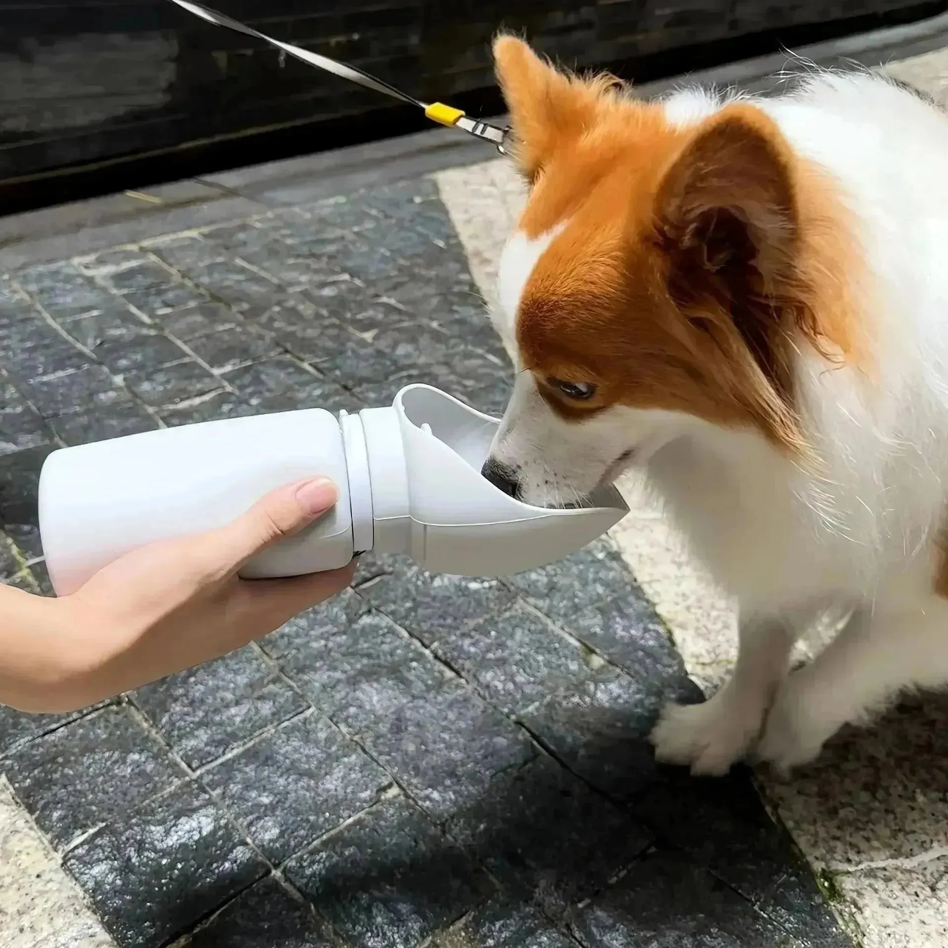 Leak-Proof Dog Water Bottle - Foldable Silicone Dispenser