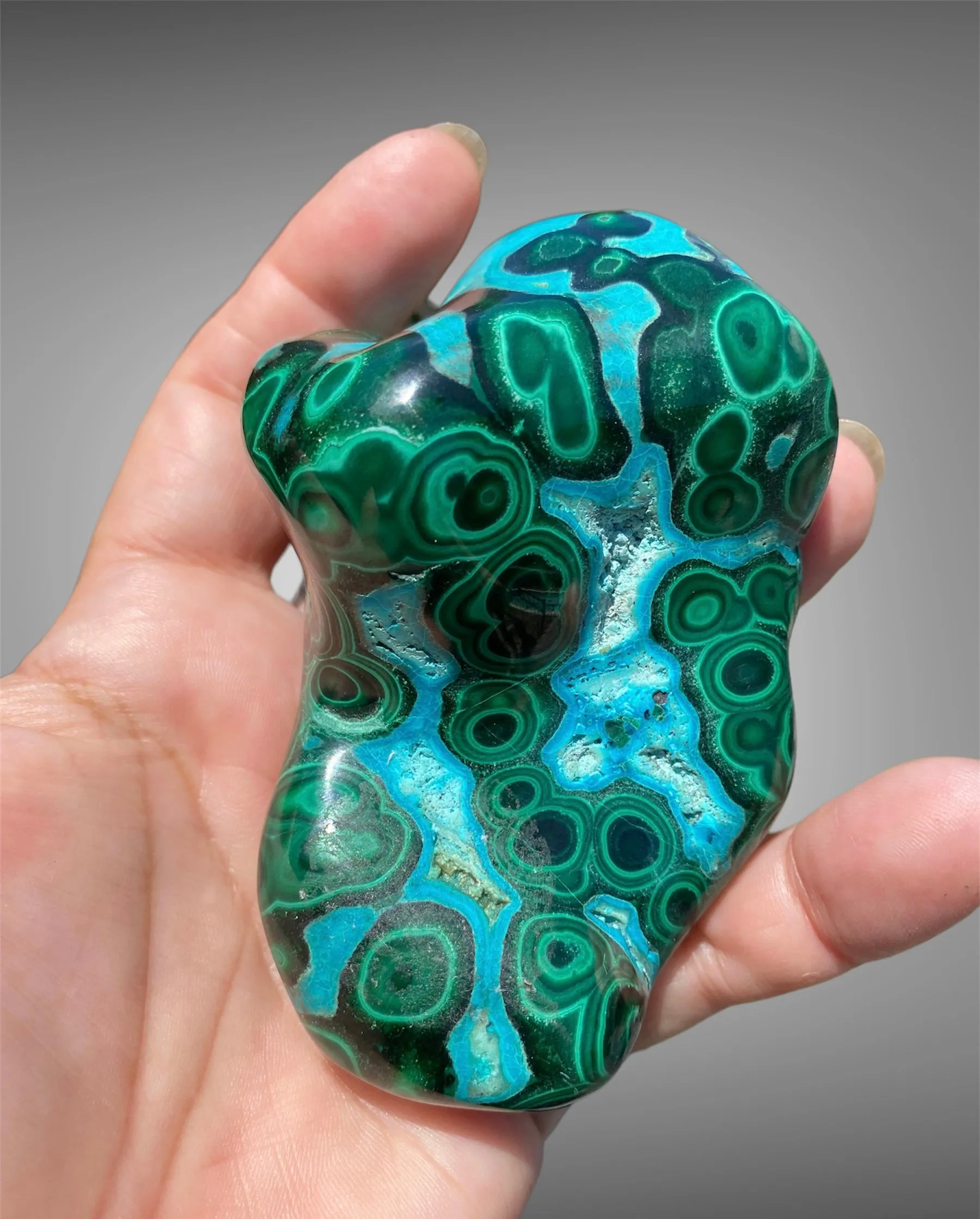 Malacholla Free Form Specimens