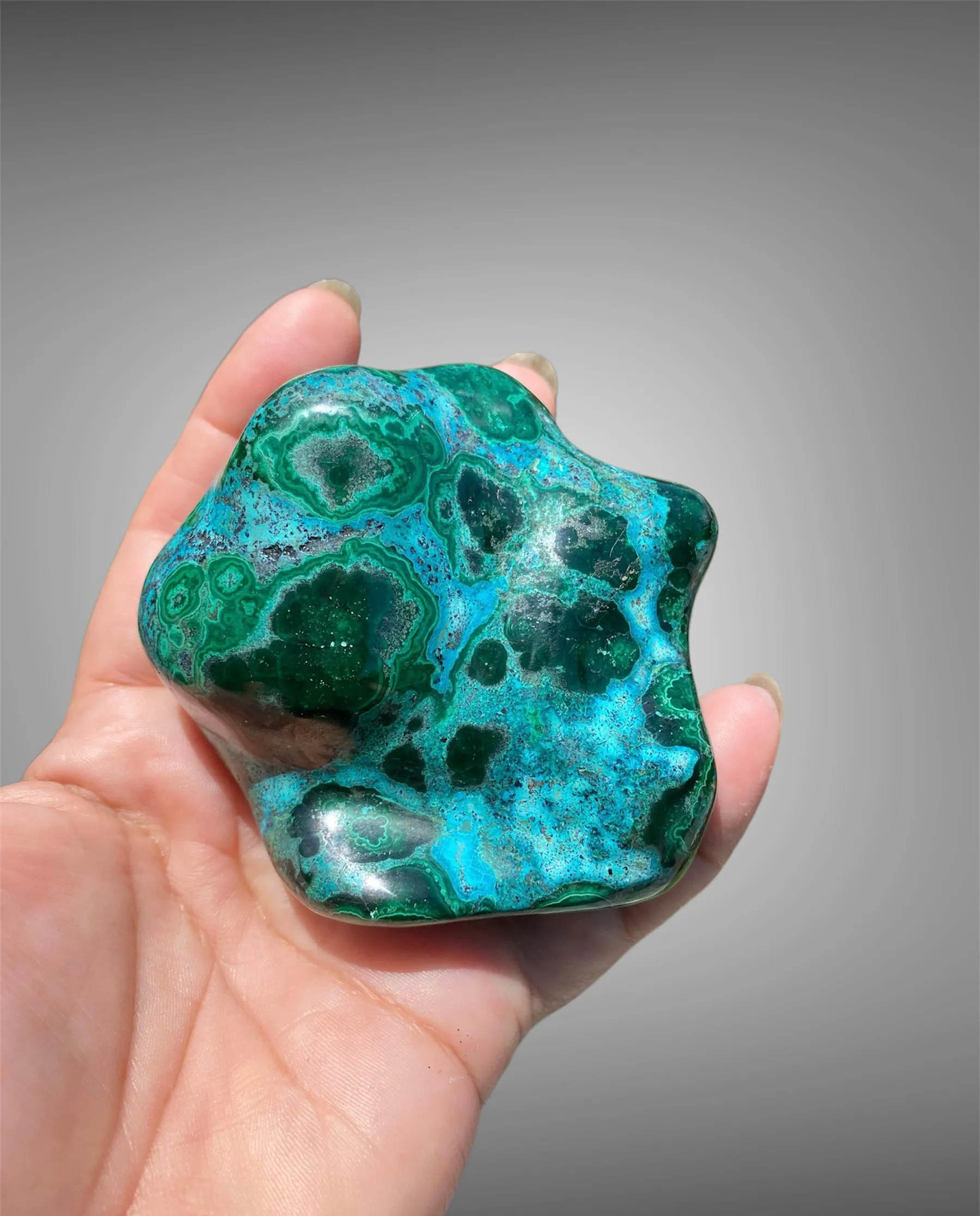 Malacholla Free Form Specimens