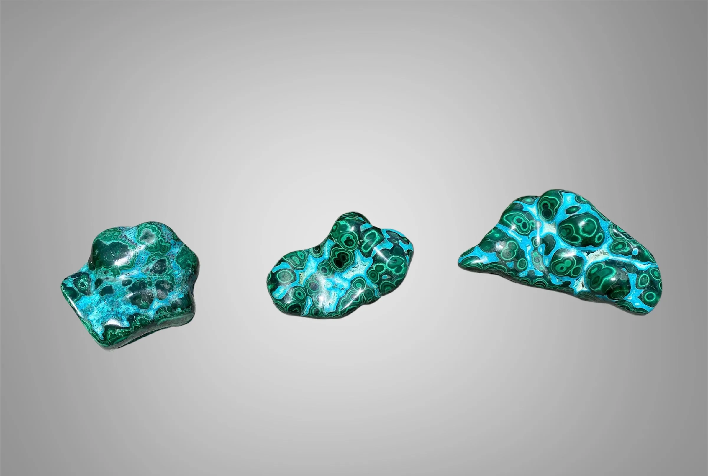 Malacholla Free Form Specimens