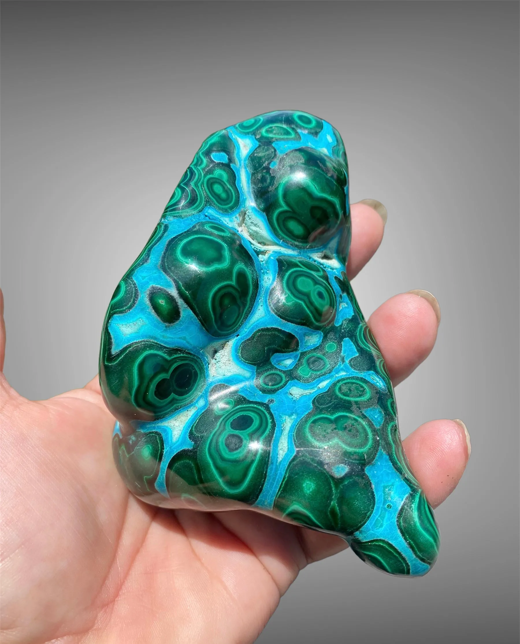 Malacholla Free Form Specimens