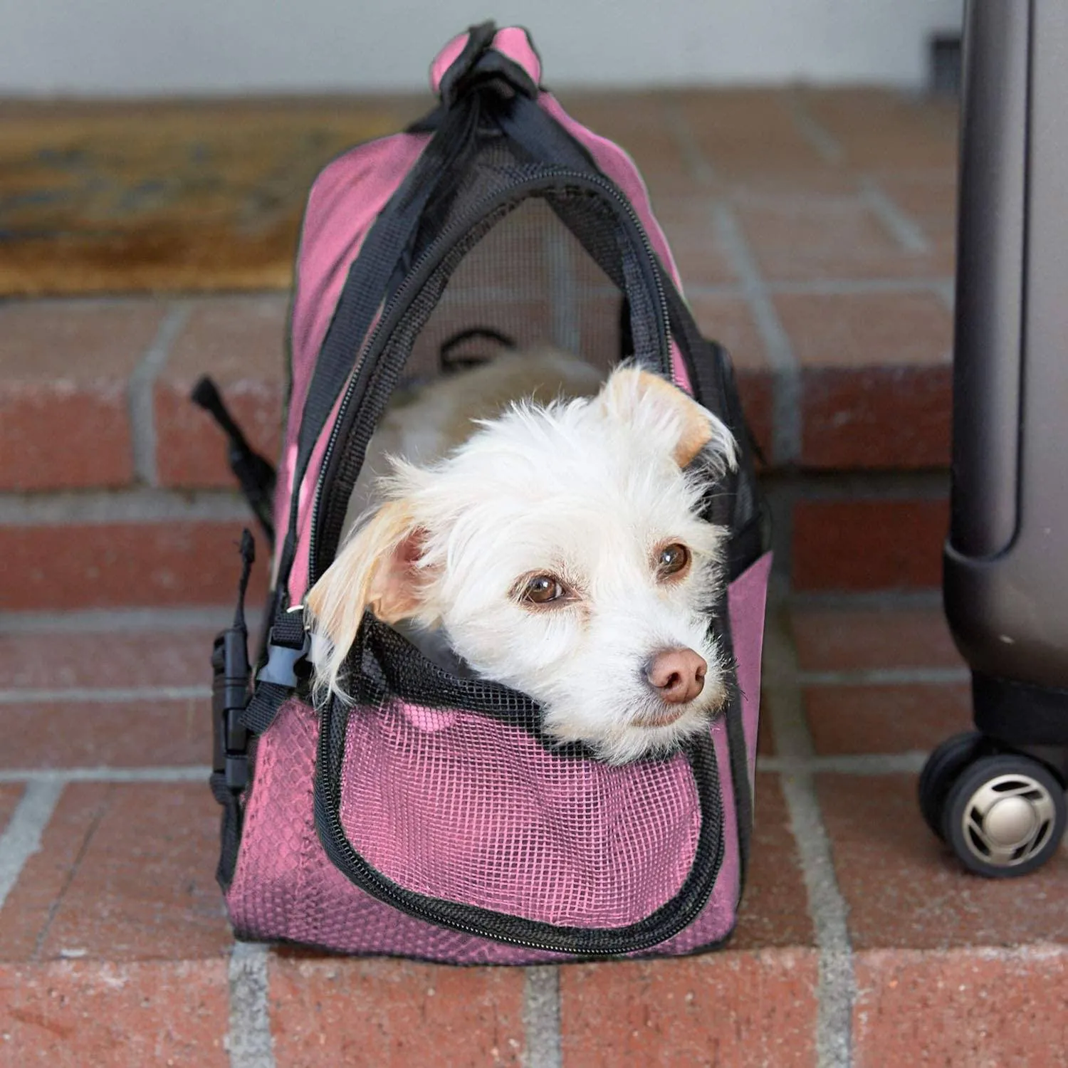 Paws & Pals Airline Approved Soft Sided Pet Carrier