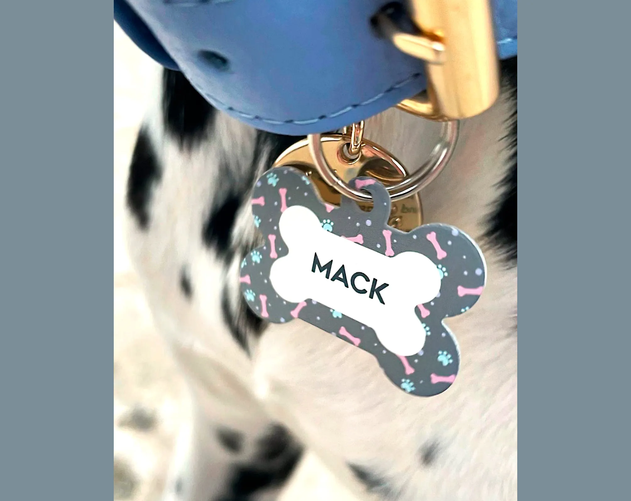 Personalised Leopard Print Round Pet Name ID Tag