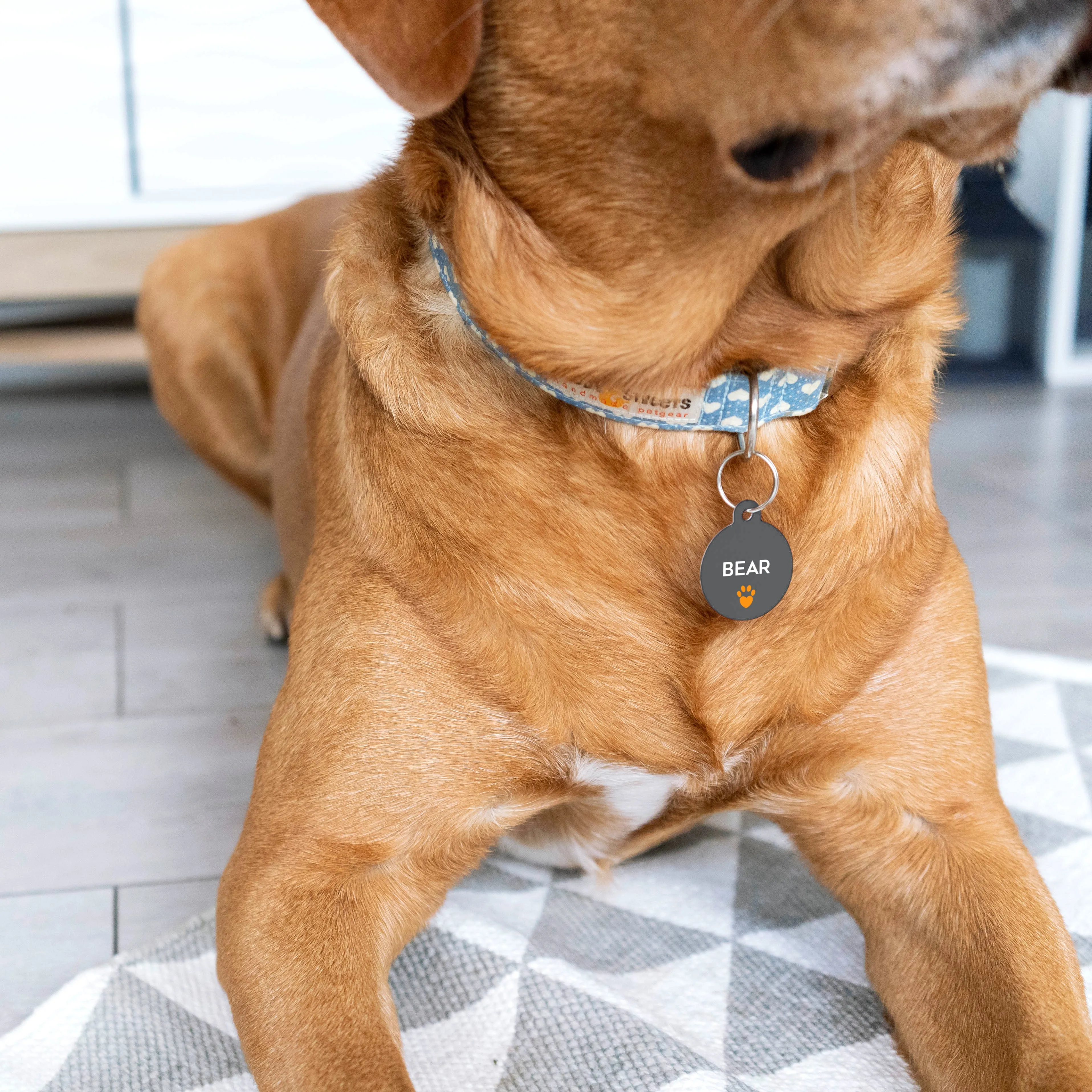 Personalised Special Needs Pet ID Tag