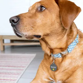 Personalised Special Needs Pet ID Tag