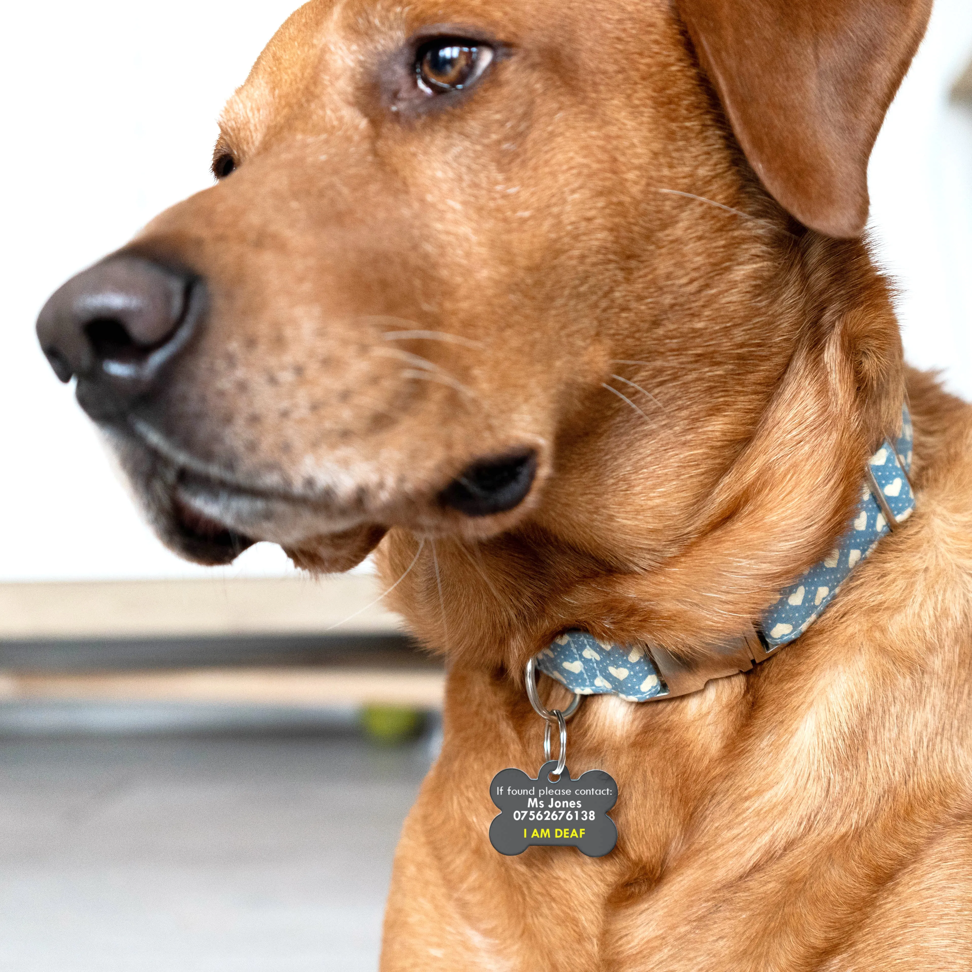 Personalised Special Needs Pet ID Tag