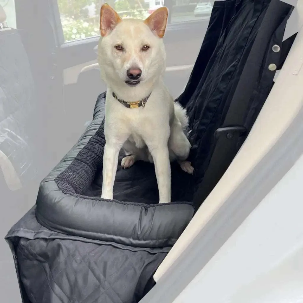 Pet Guard Bench Black