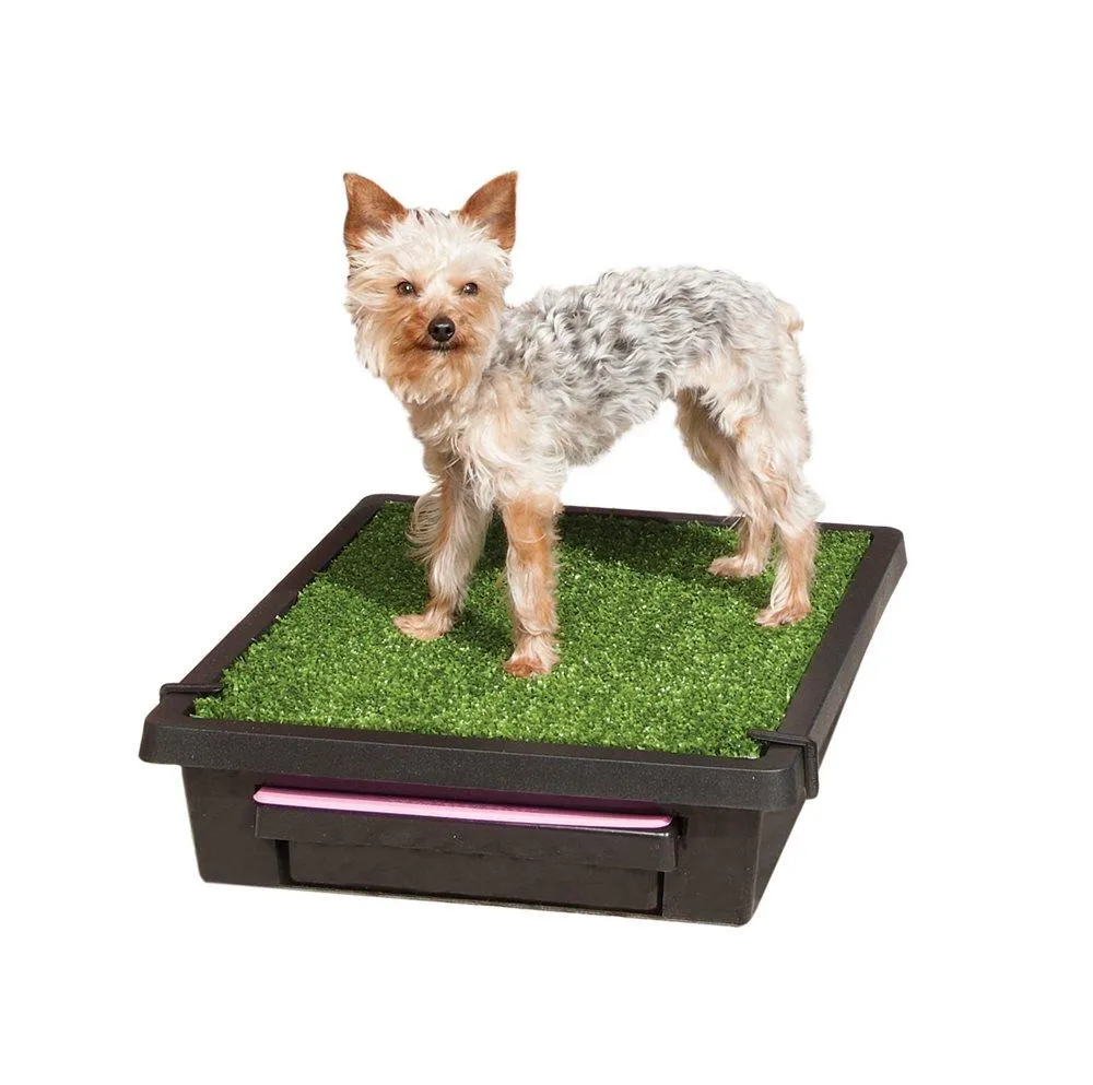 PetSafe Pet Loo Pet Toilet