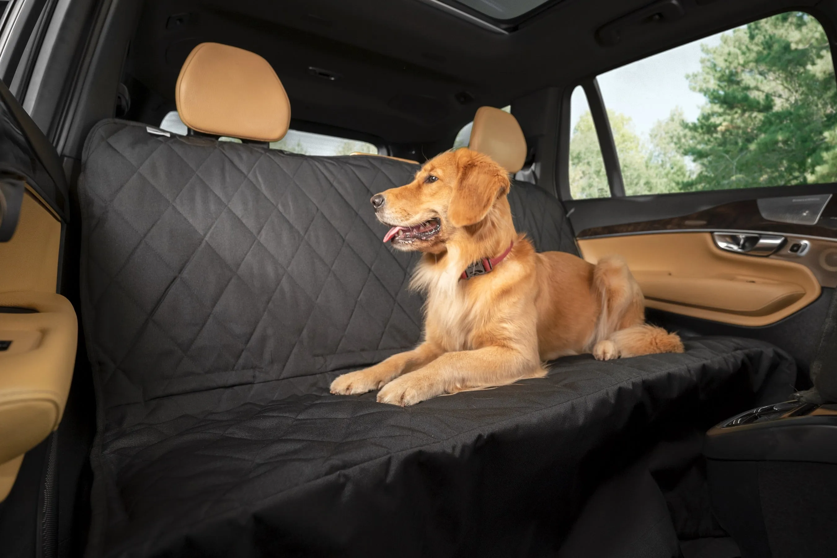 Plush Paws Products Pet Car Seat Protector