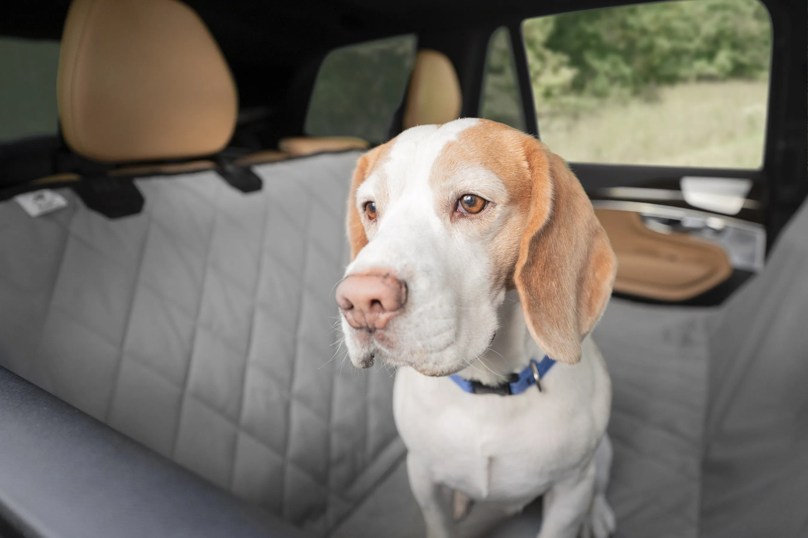 Plush Paws Products Pet Car Seat Protector