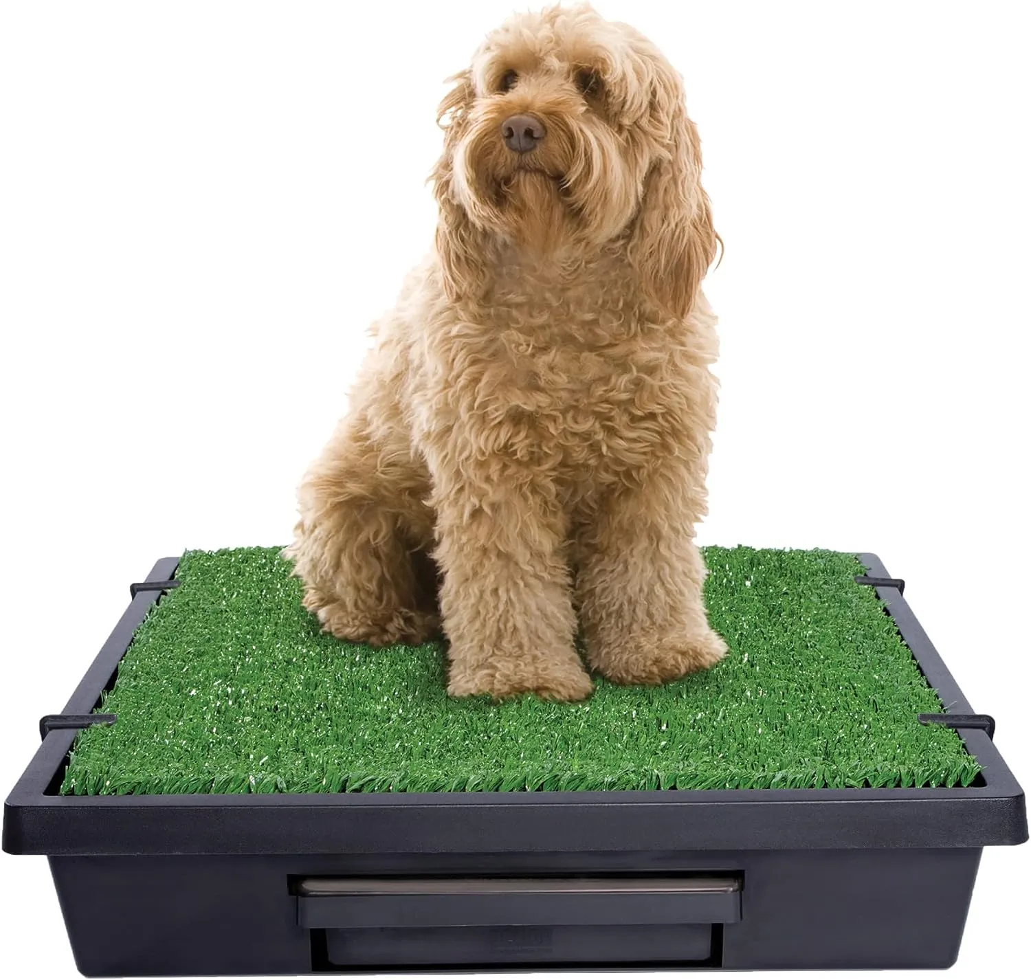 Portable Dog Potty: Small, Grass Mat