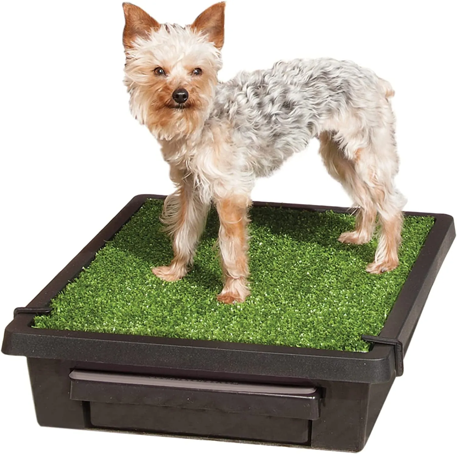 Portable Dog Potty: Small, Grass Mat