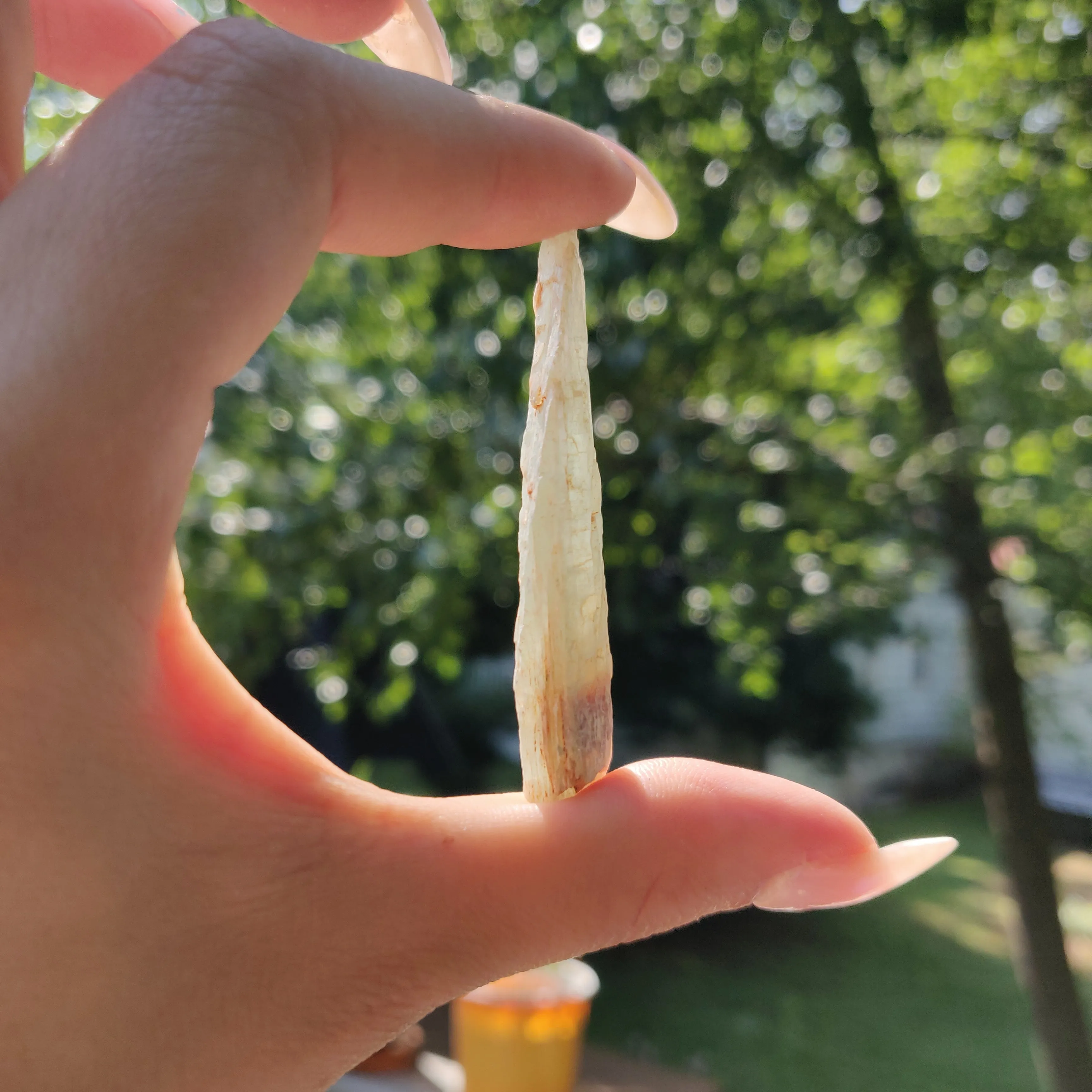Raw Green Kyanite (#J2)