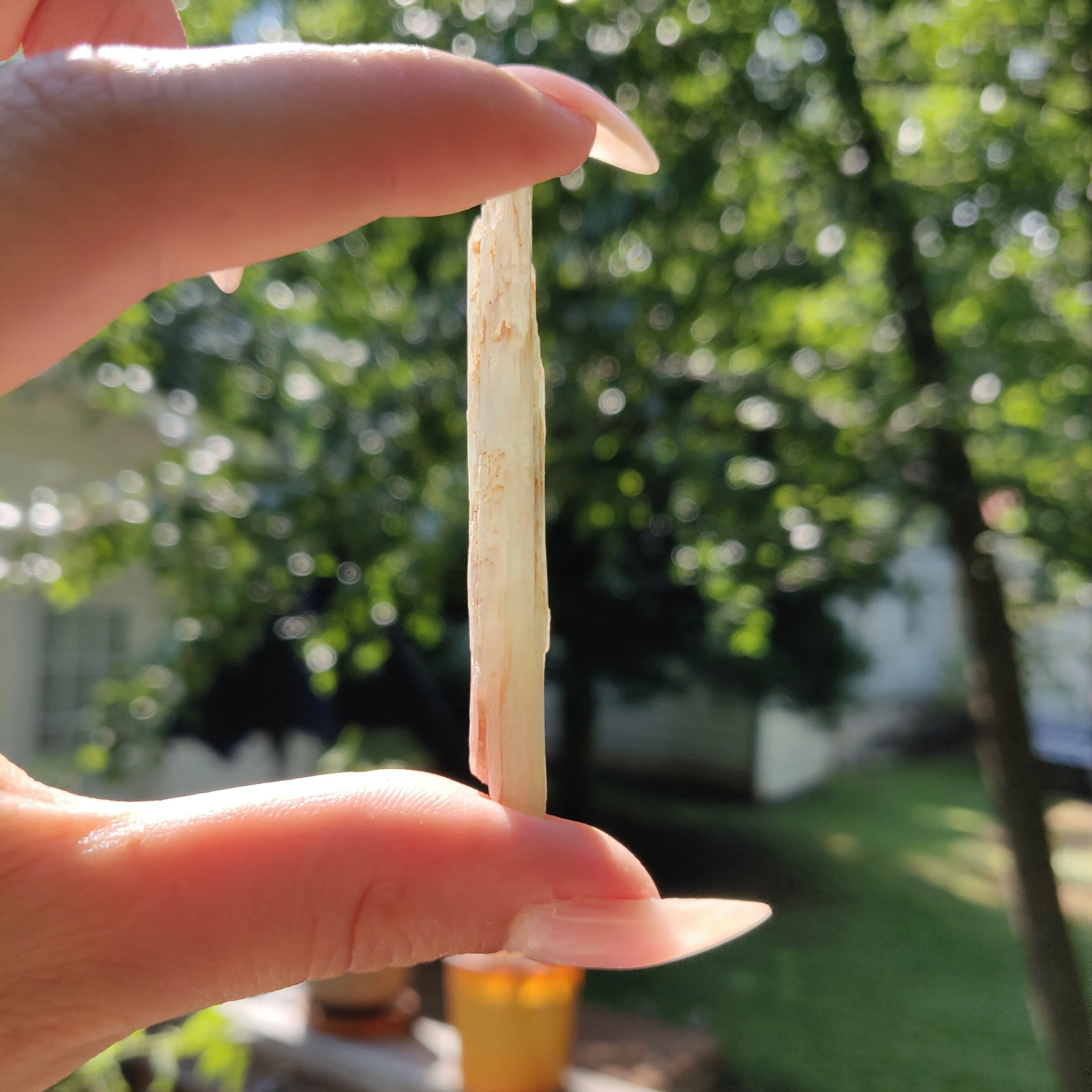 Raw Green Kyanite (#J2)