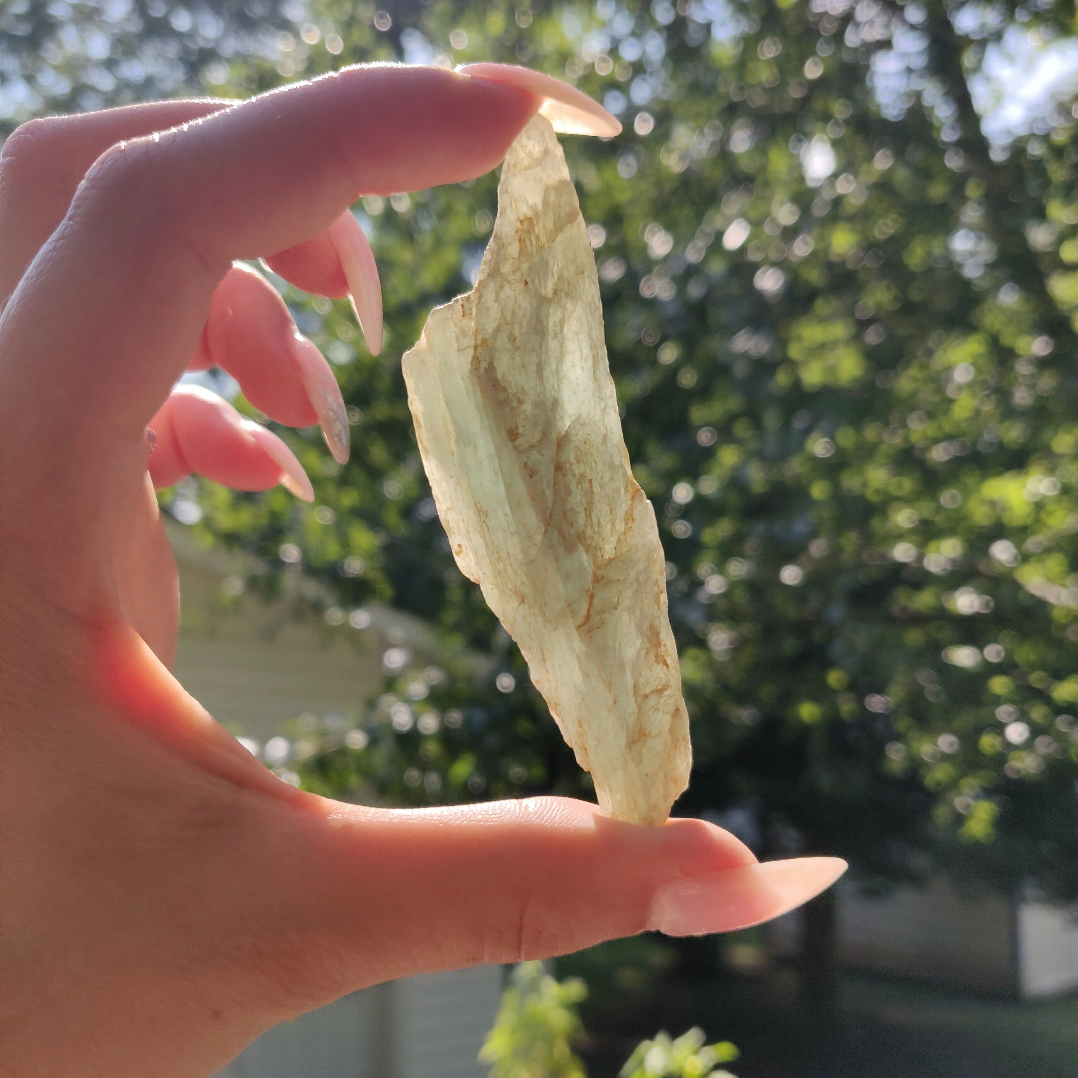 Raw Green Kyanite (#J3)
