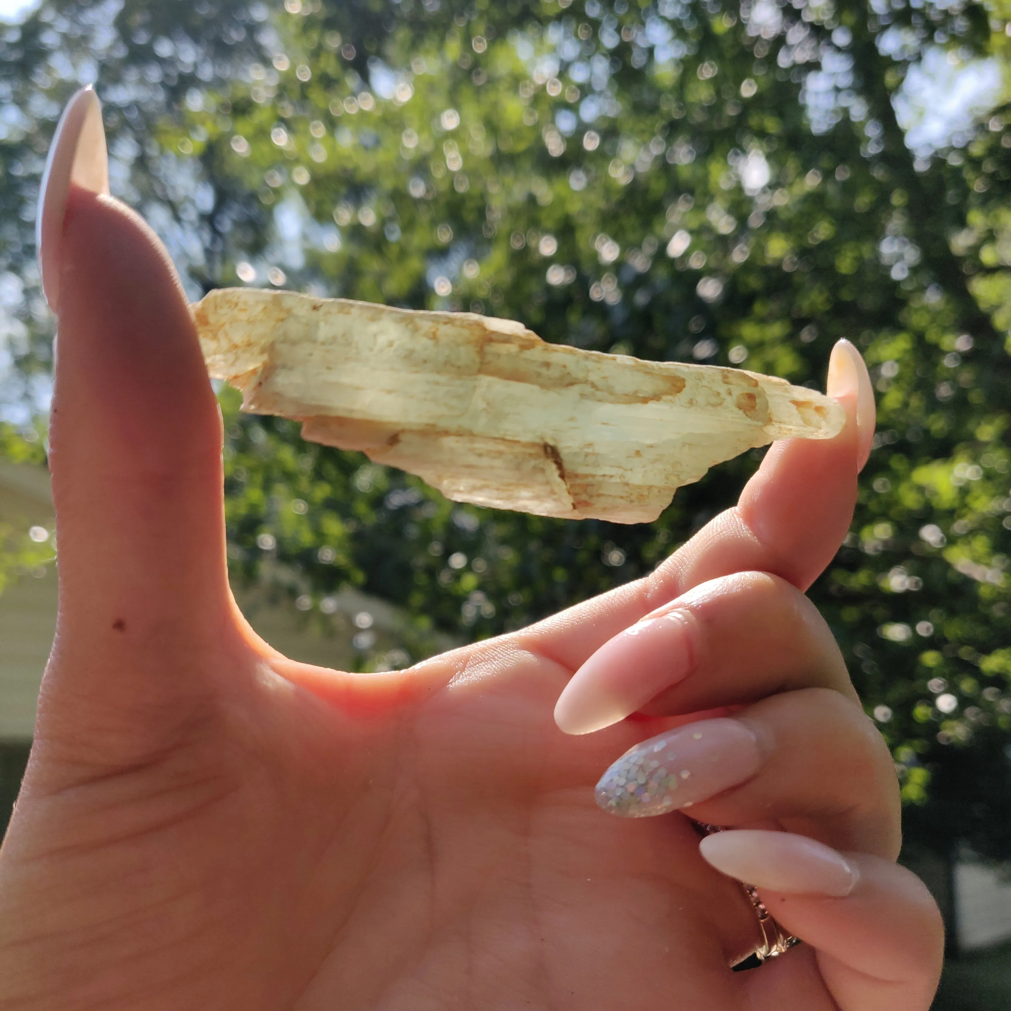 Raw Green Kyanite (#J3)