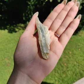 Raw Green Kyanite (#J3)