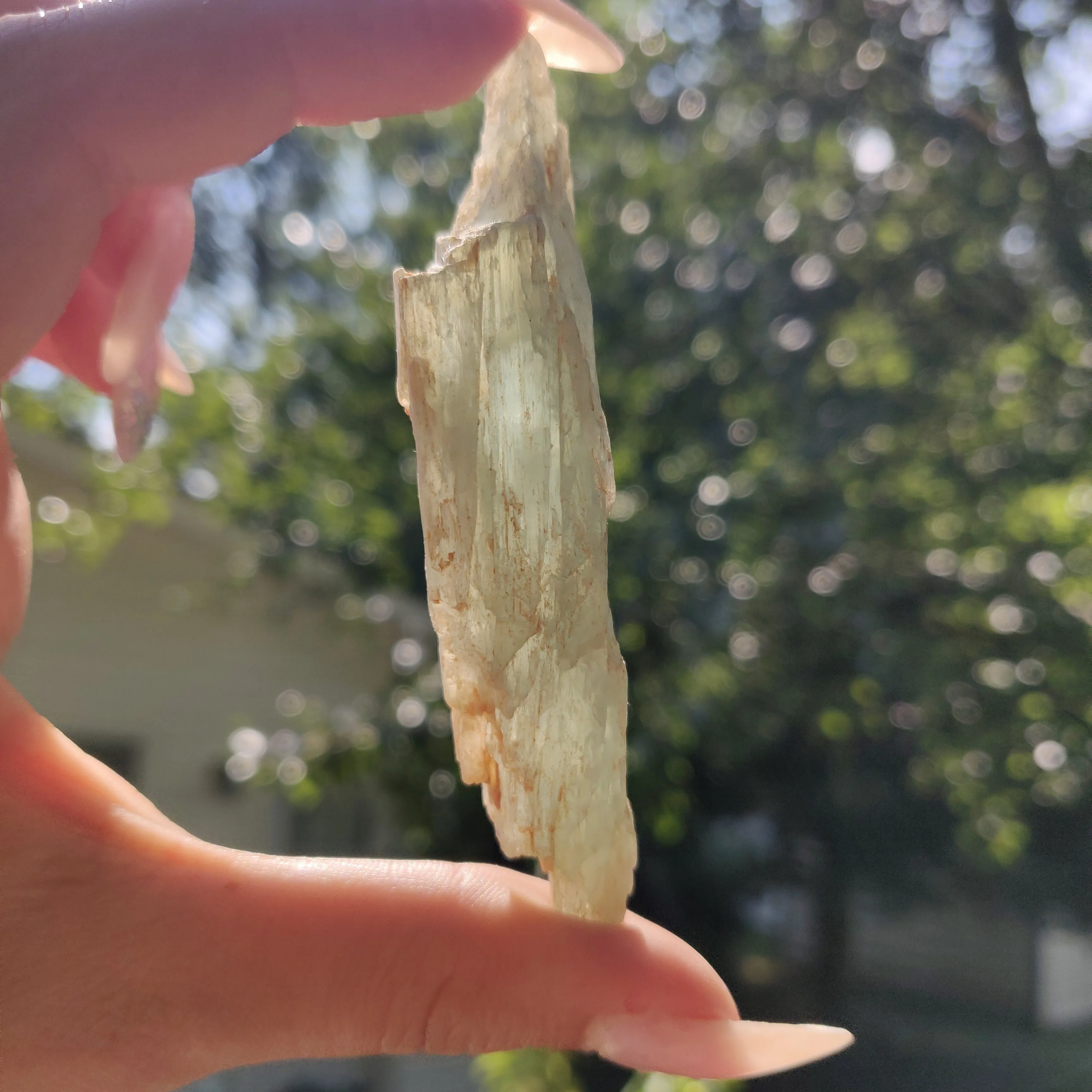 Raw Green Kyanite (#J3)
