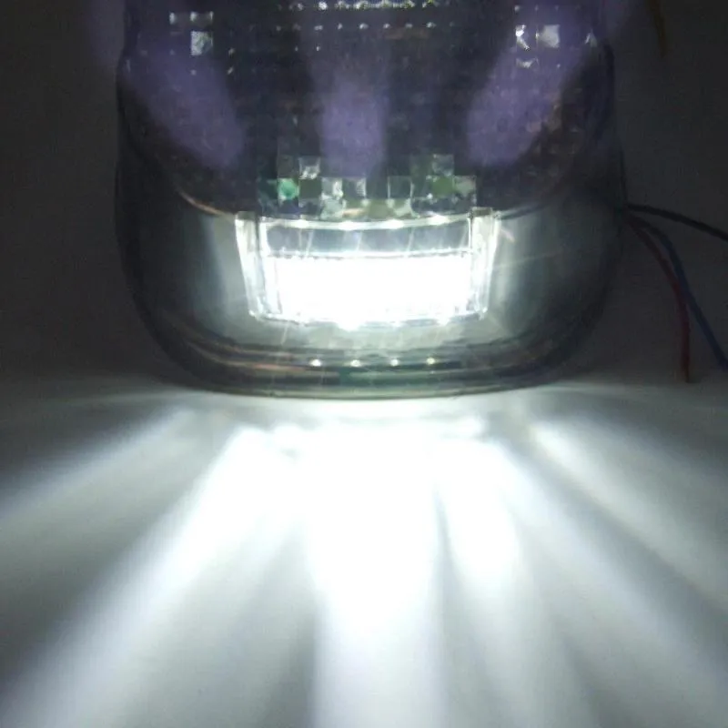 Smoke Lens LED Tail light with License Plate Lamp