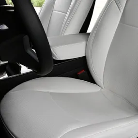 TAPTES Center Armrest Cover for Tesla Model 3 Model Y